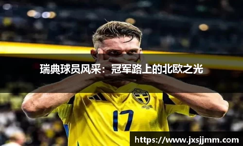 瑞典球员风采：冠军路上的北欧之光